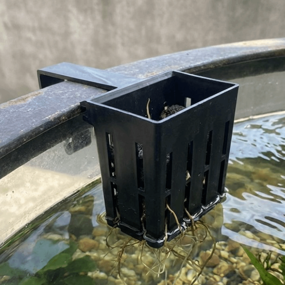 Aquarium Planted Wall - Wall-Mounted Aquarium Plant Basket Water Culture