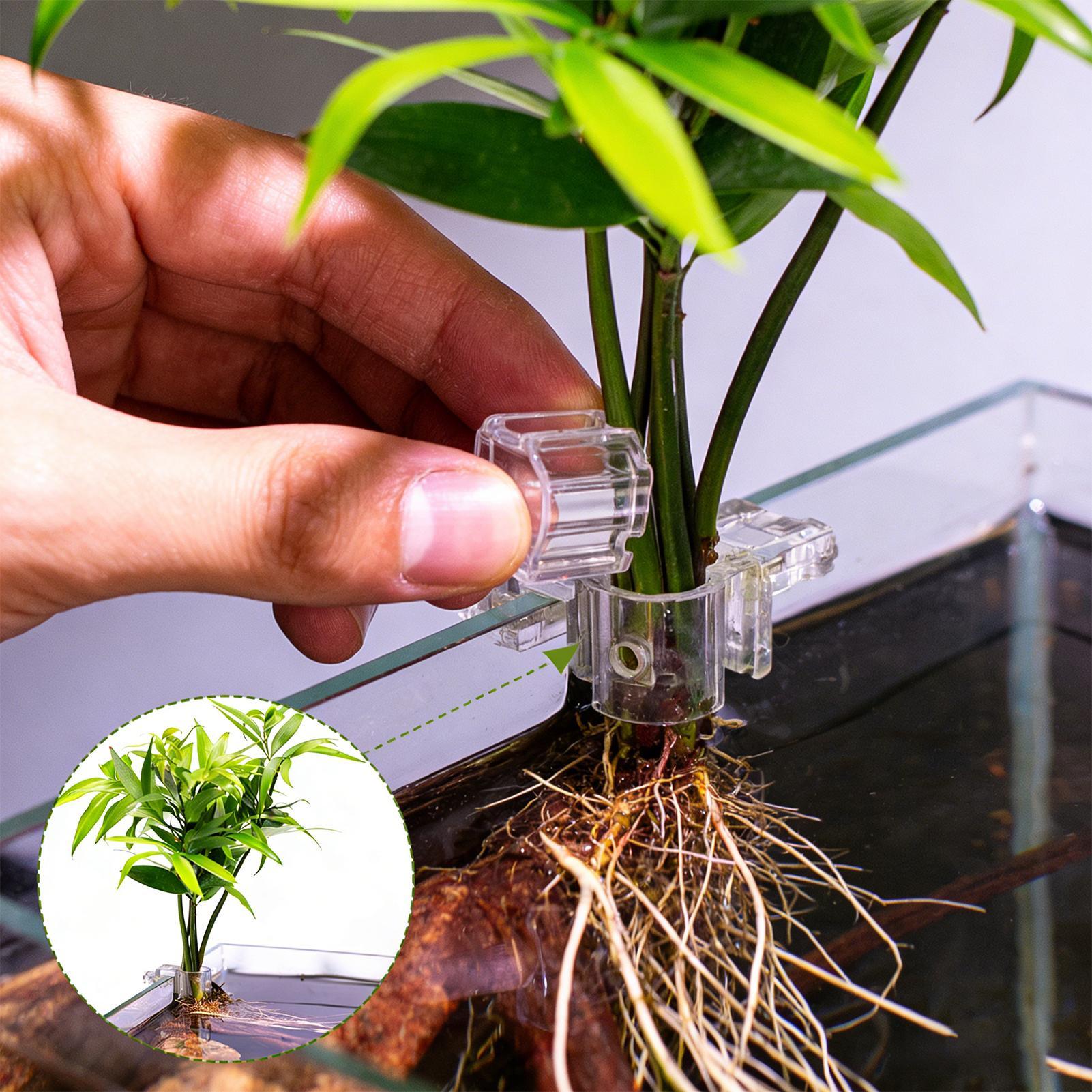Aquarium Plant Growing - 6pcs Aquarium Plant Holders Clear Planting
