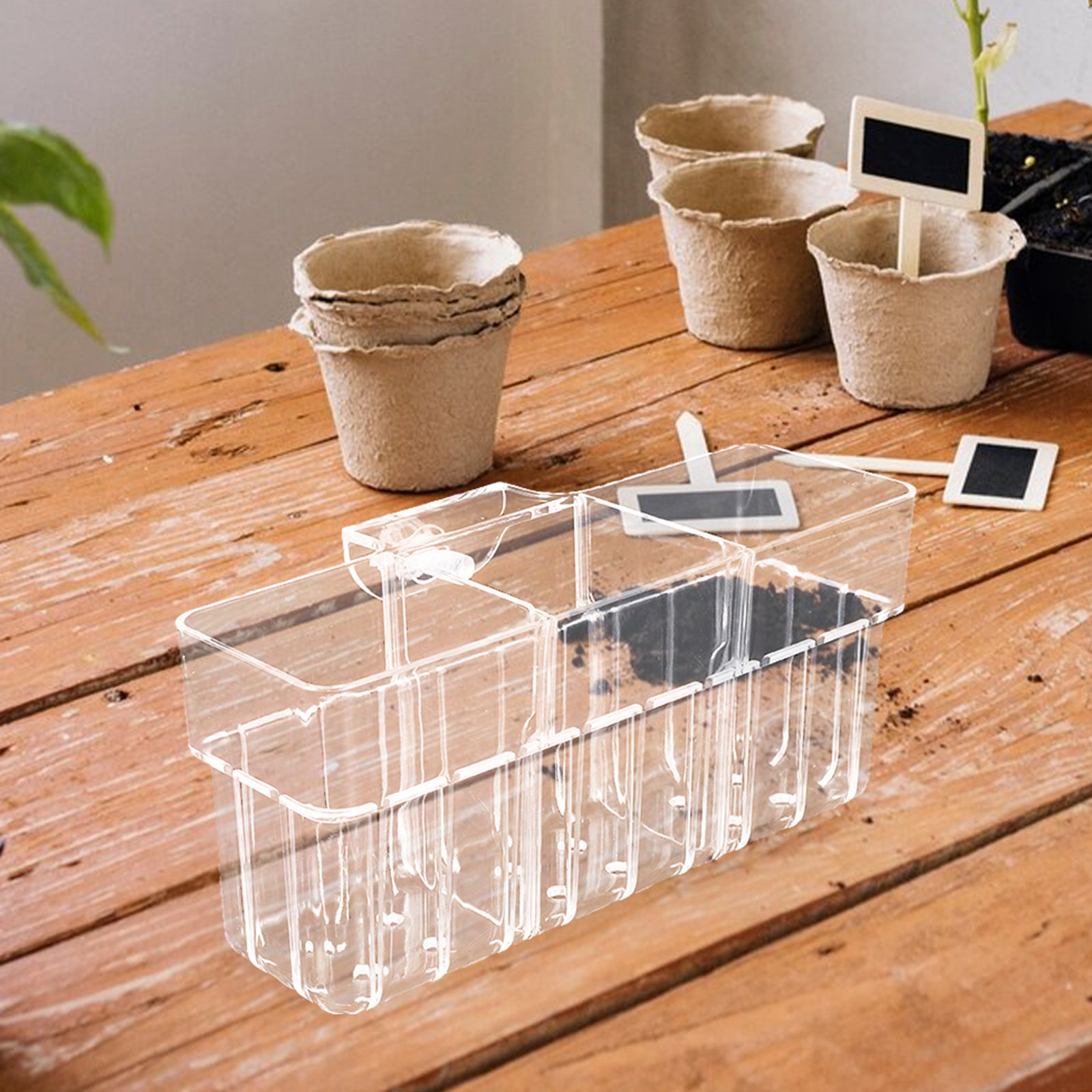 Aquarium Planted Wall - Three Compartment Clear Hydroponic Aquarium Plant