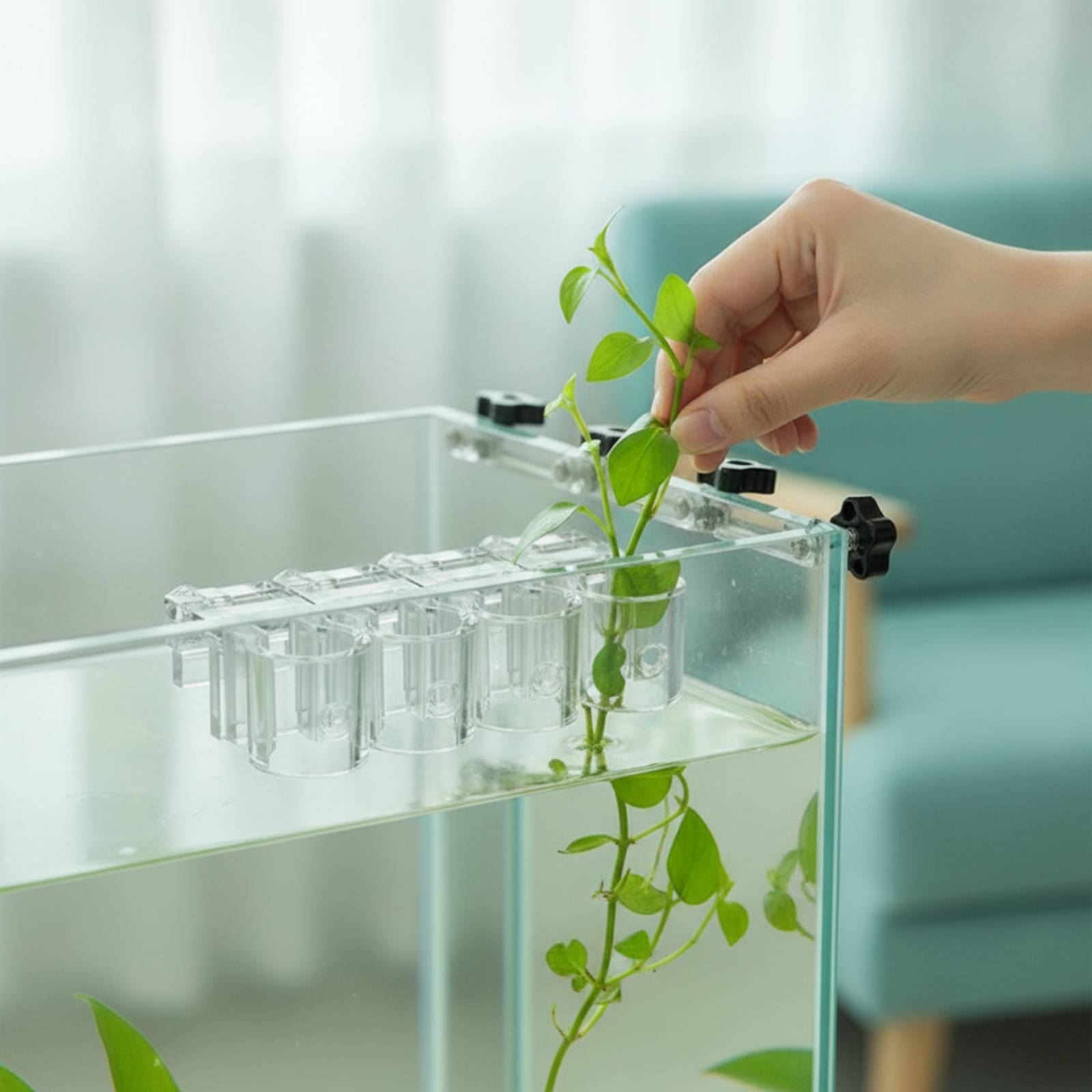6 Pieces Aquarium Planter Clea - Aquarium Planting ulasan dan harga