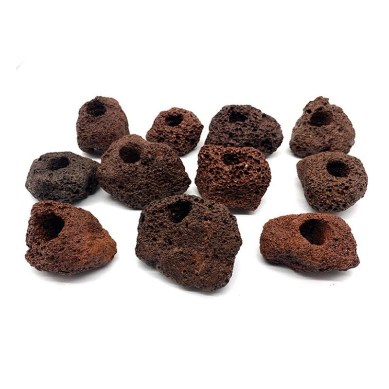 Volcanic Aquarium Decoration F - Aquarium Plant Live ulasan dan harga