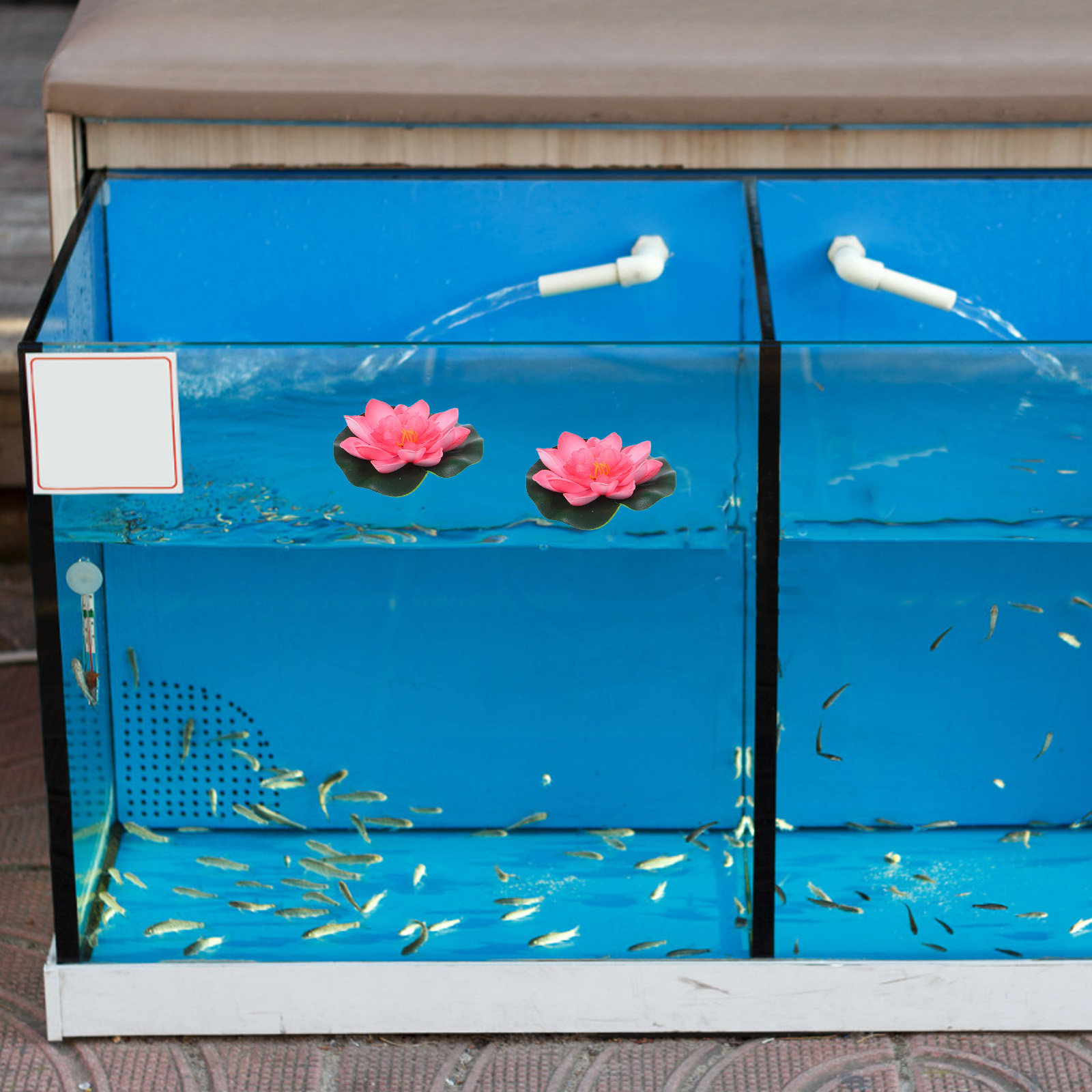 12Pcs Artificial Floating Wate - Aquarium Planting ulasan dan harga