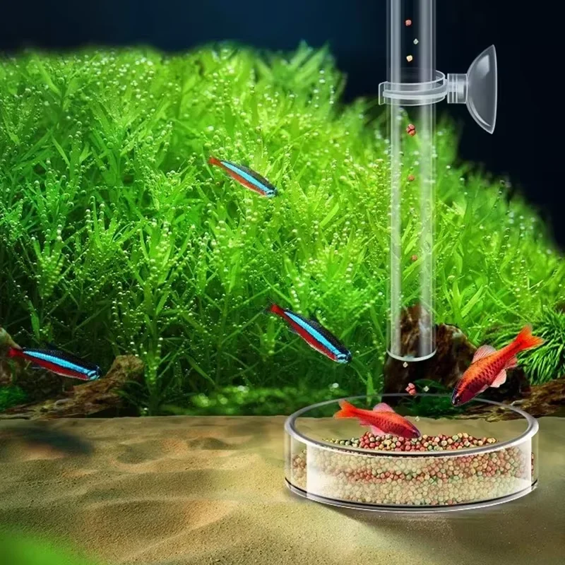Aquarium Glass Feeding Tube &  - Planted Aquarium Youtube ulasan dan harga