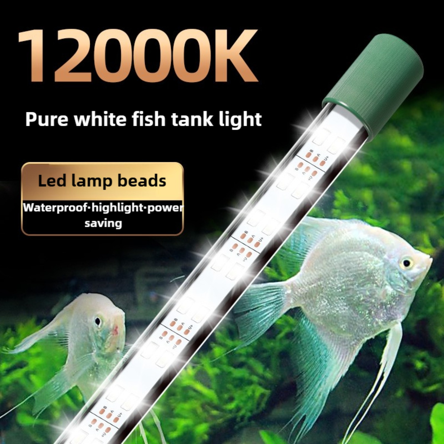 LED Aquarium Light Tube 25W Fi - Planted Aquarium Youtube ulasan dan harga