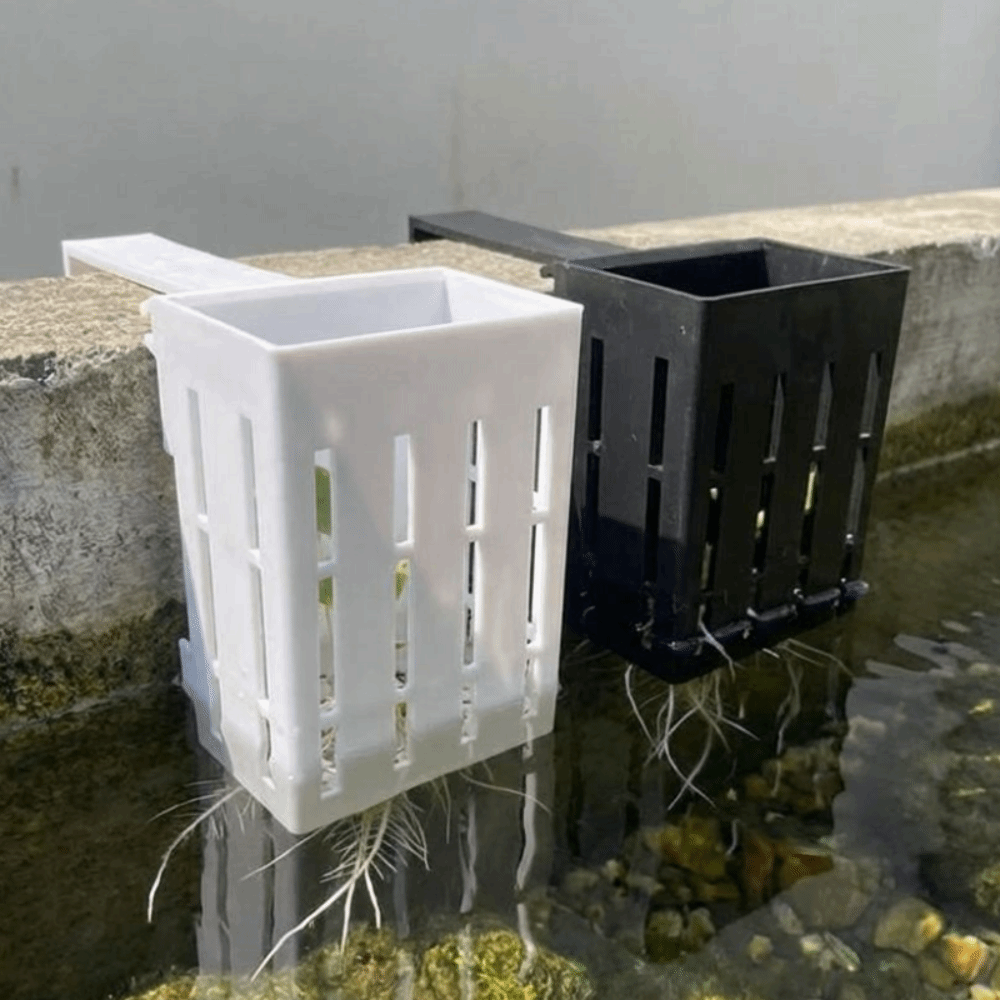 Wall-Mounted Aquarium Plant Ba - Aquarium Planted Wall ulasan dan harga