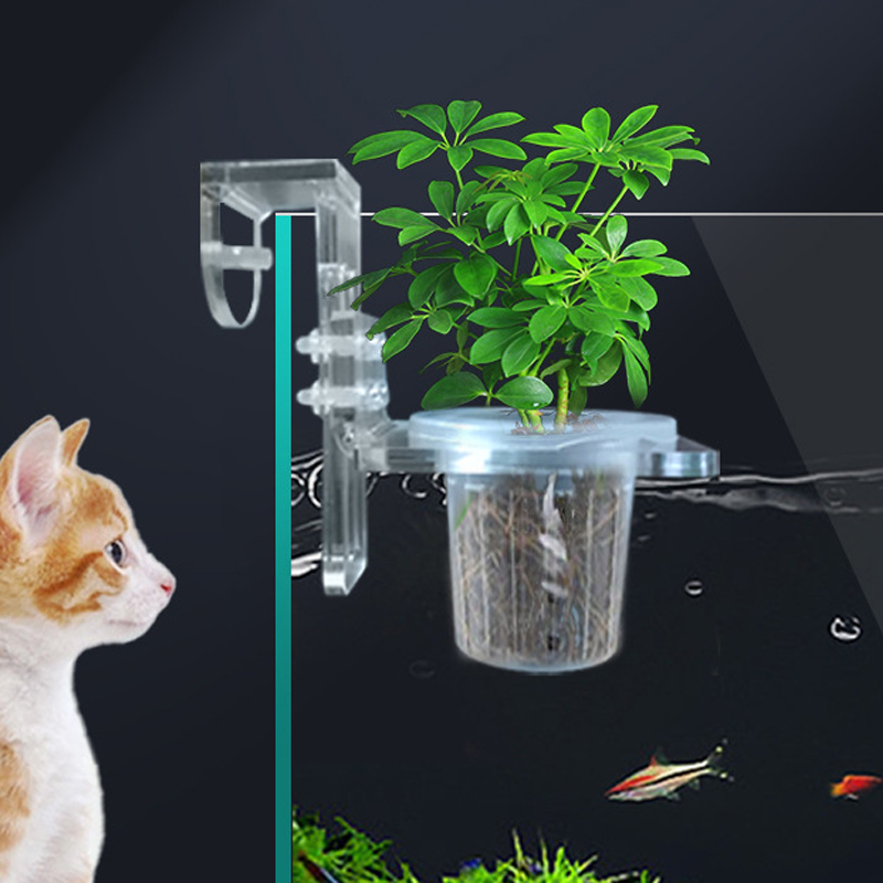 Fish Tank Planting Cups Hydrop - Aquarium Planted Wall ulasan dan harga