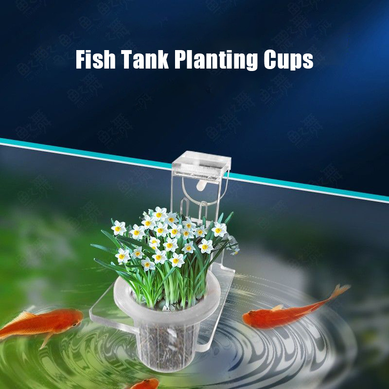 Fish Tank Planting Cups Hydrop - Aquarium Planted Wall ulasan dan harga