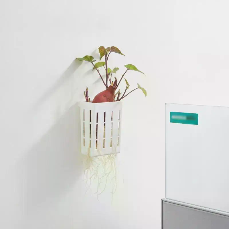 1Pcs Hydroponic Support Basket - Aquarium Planting ulasan dan harga