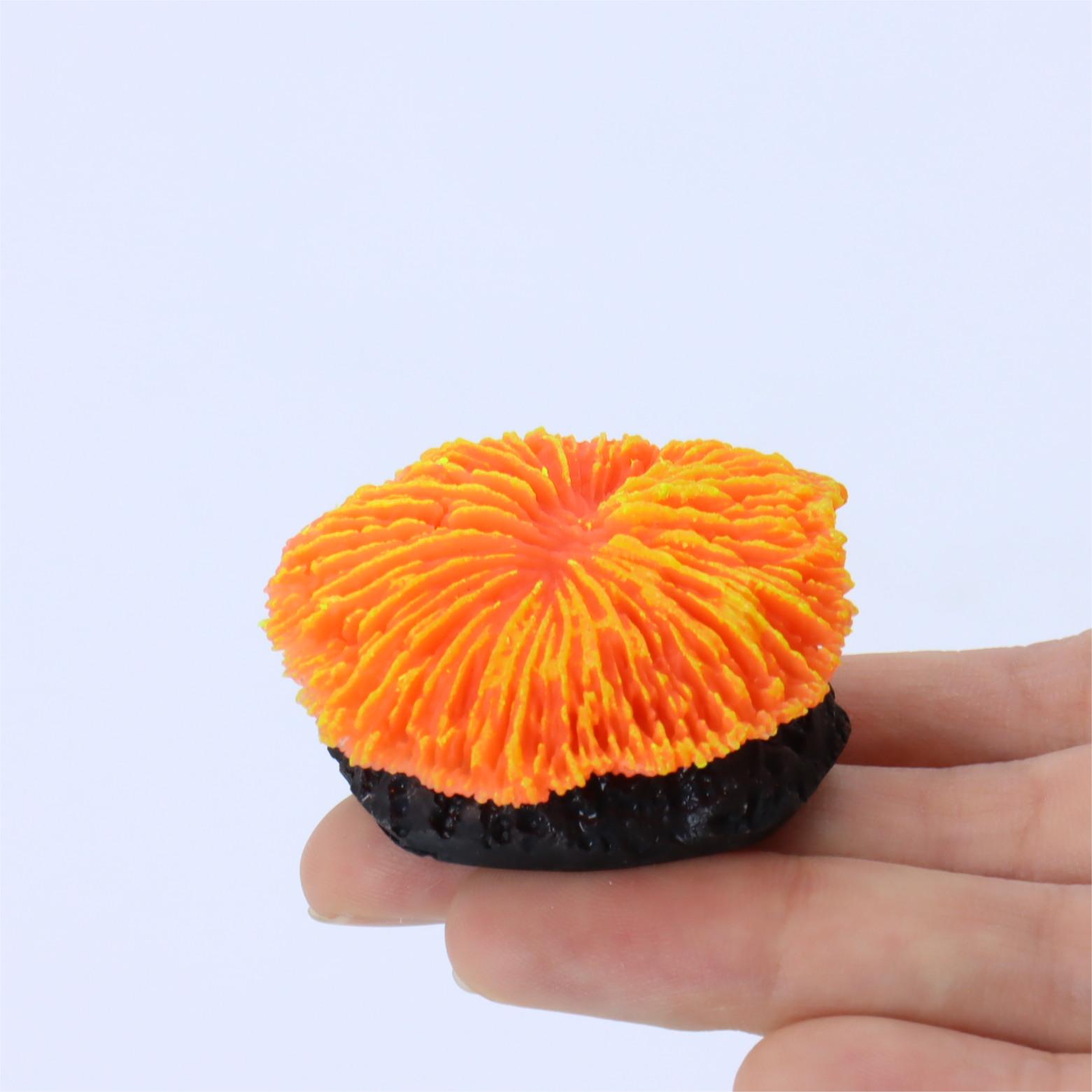 1 Piece Aquarium Decoration Sa - Aquarium Plant Live ulasan dan harga