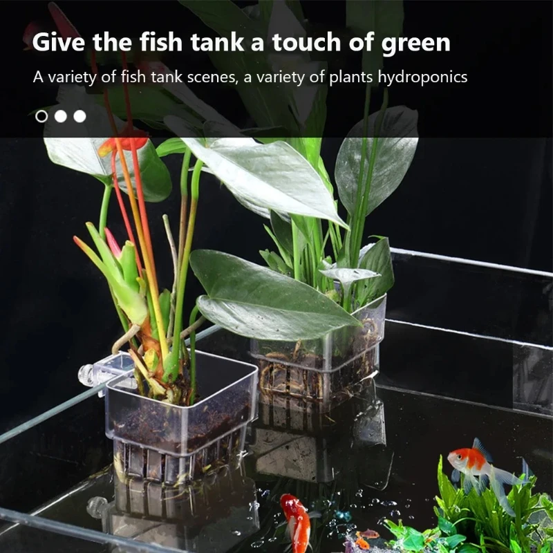 Aquarium Hanging Planter Cups  - Aquarium Planted Wall ulasan dan harga