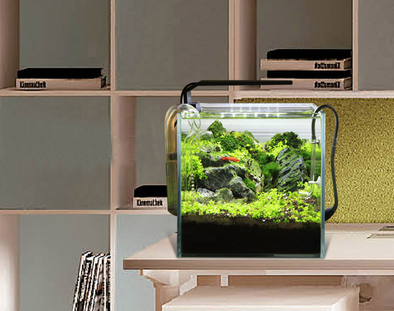 Chihiros C series ADA style Pl - Planted Aquarium Ada ulasan dan harga