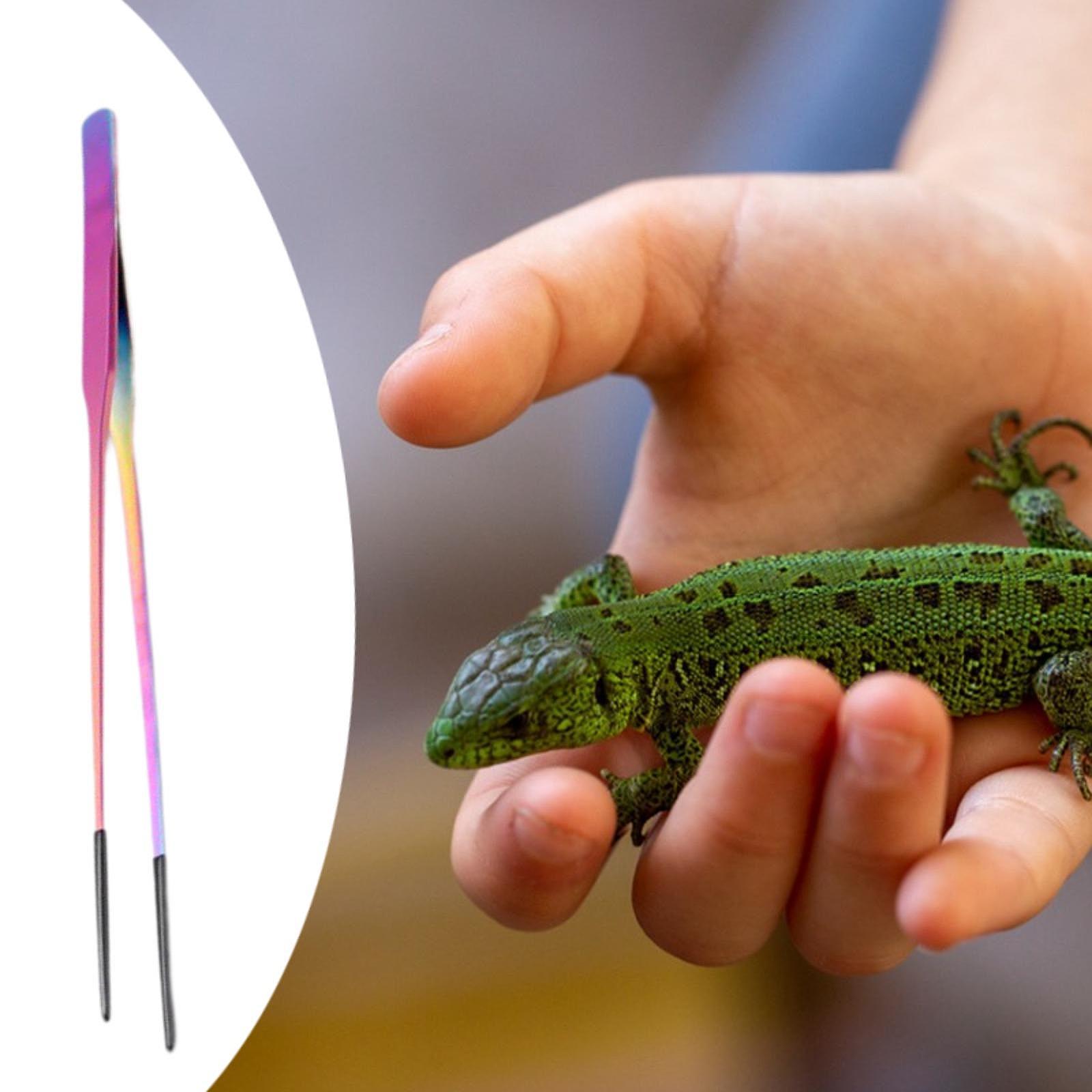 Reptile Feeding Tongs Soft Tip - Planted Aquarium Tips ulasan dan harga