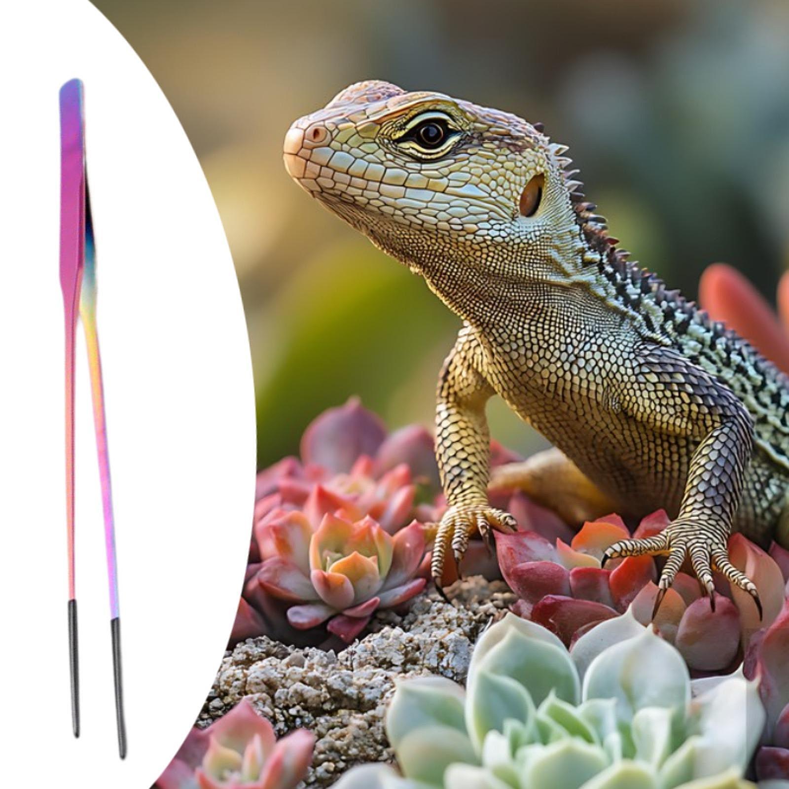 Reptile Feeding Tongs Soft Tip - Planted Aquarium Tips ulasan dan harga