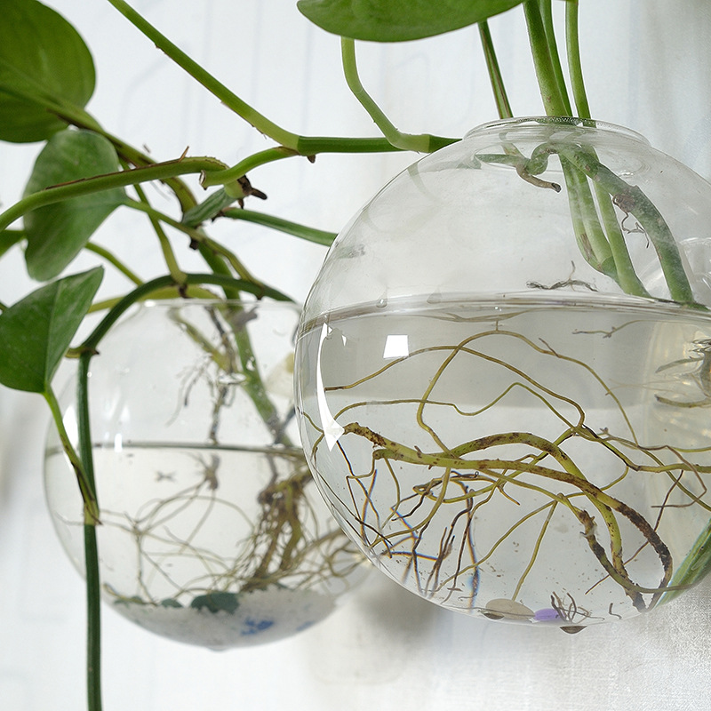 Wall Hanging Acrylic Fish Bowl - Aquarium Planted Wall ulasan dan harga