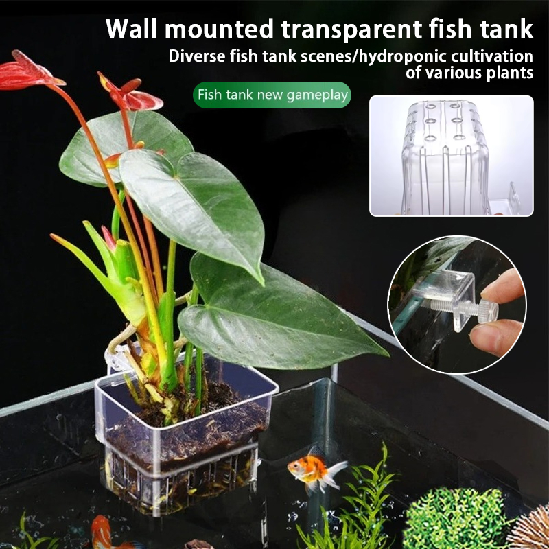 Aquarium Hanging Planter Cups  - Aquarium Planted Wall ulasan dan harga