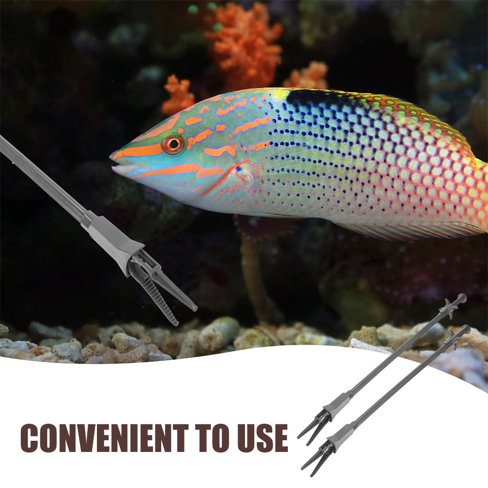 2Pcs Aquarium Waterweed Tweeze - Planted Aquarium Tips ulasan dan harga