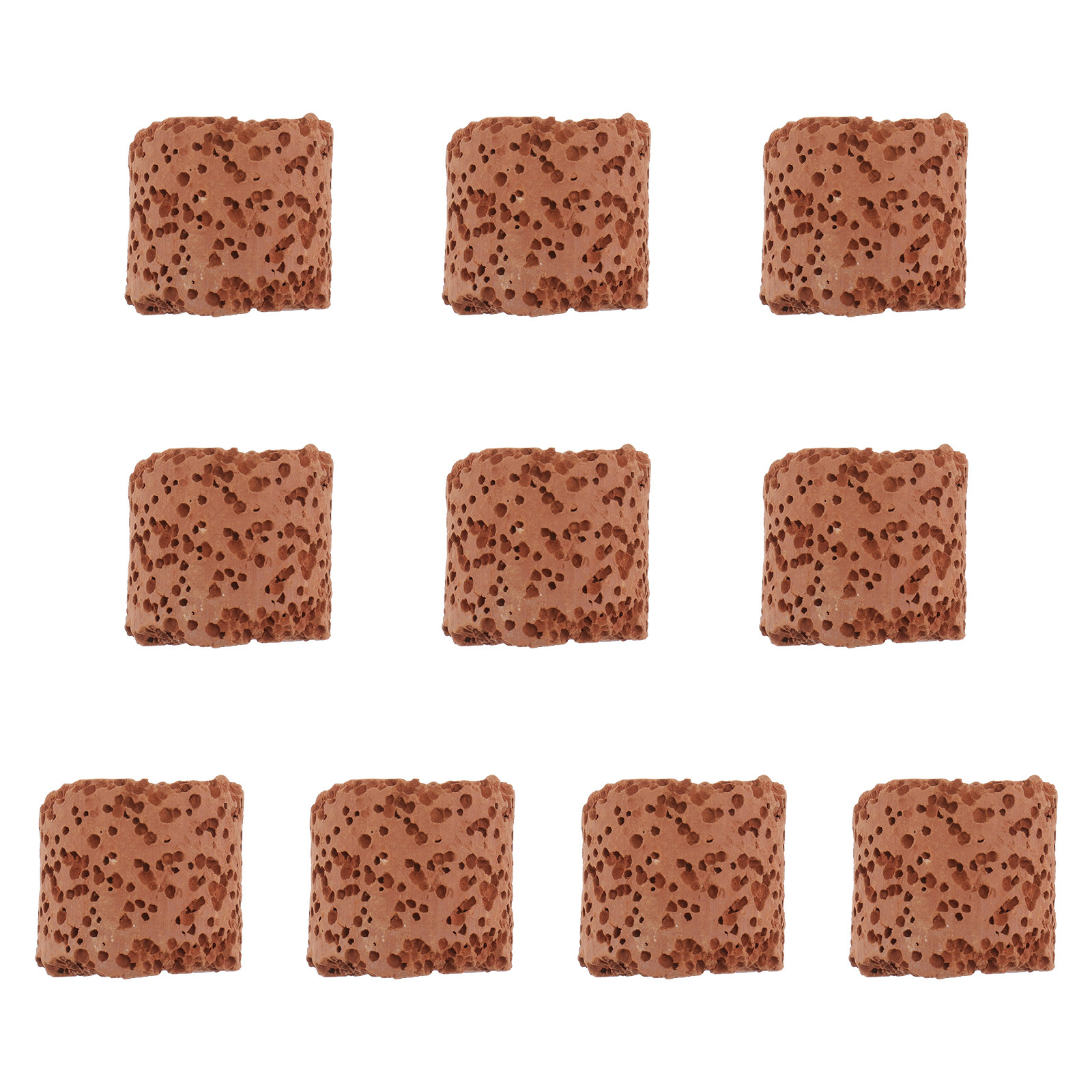 10Pcs Plant Ring for Aquarium  - Aquarium Planting ulasan dan harga