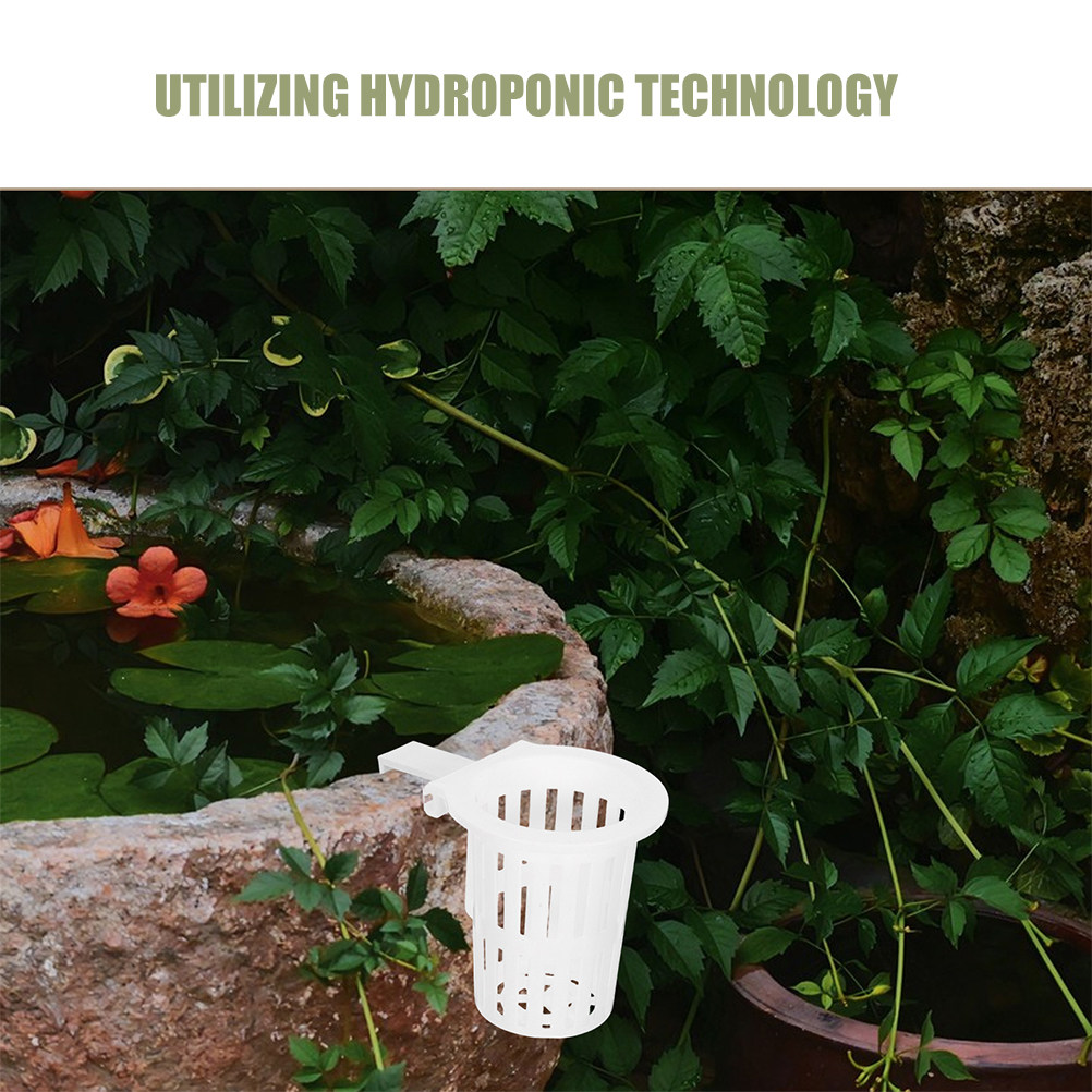4Pcs Wall Mounted Hydroponic B - Aquarium Planted Wall ulasan dan harga