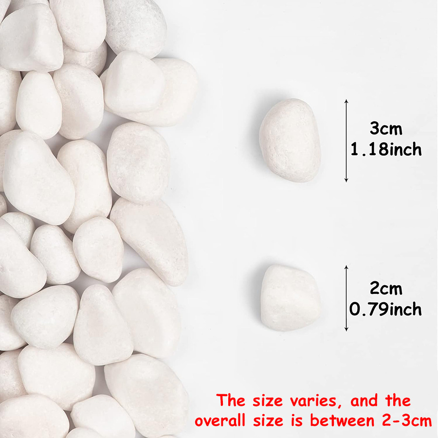 200/400g White High Polished N - Aquarium Planting ulasan dan harga