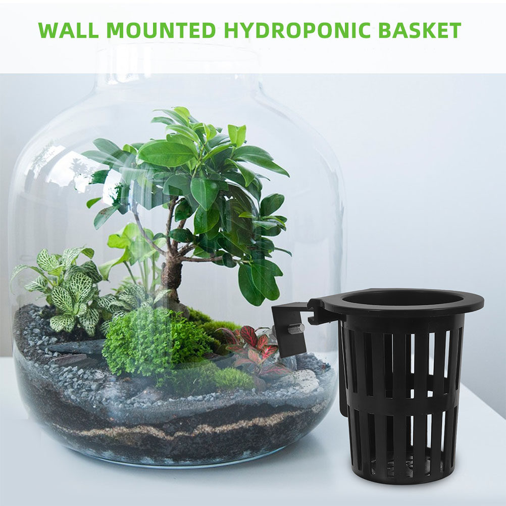 6Pcs Wall-Mounted Hydroponic B - Aquarium Planted Wall ulasan dan harga