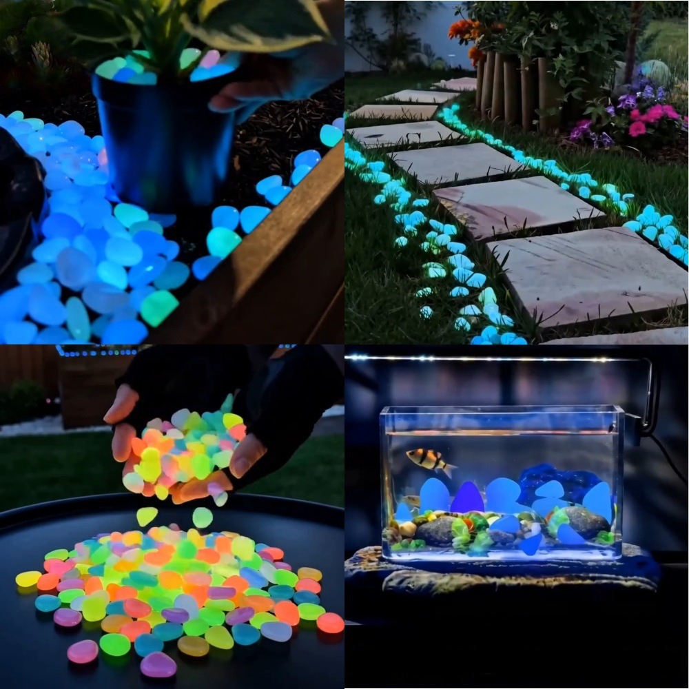 Colorful Glow In The Dark Lumi - Aquarium Planting ulasan dan harga