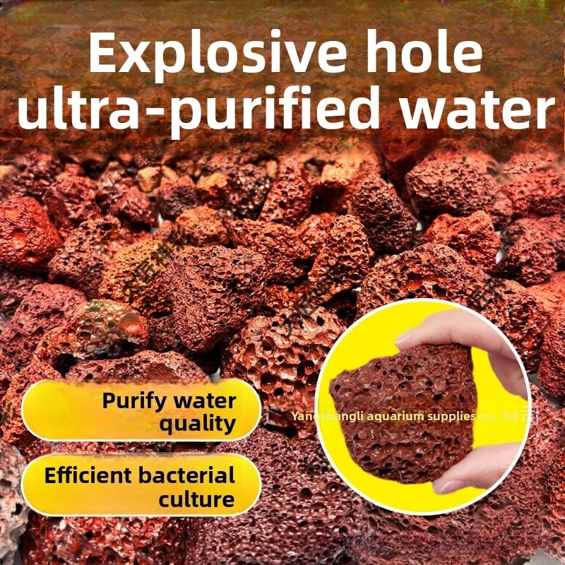 Natural Porous Red Lava Rock A - Aquarium Planted Soil ulasan dan harga