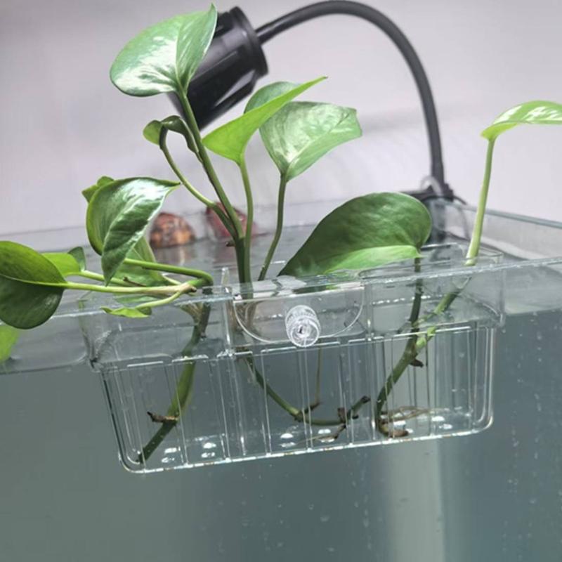 Hydroponic Plant Basket Food G - Aquarium Planting ulasan dan harga