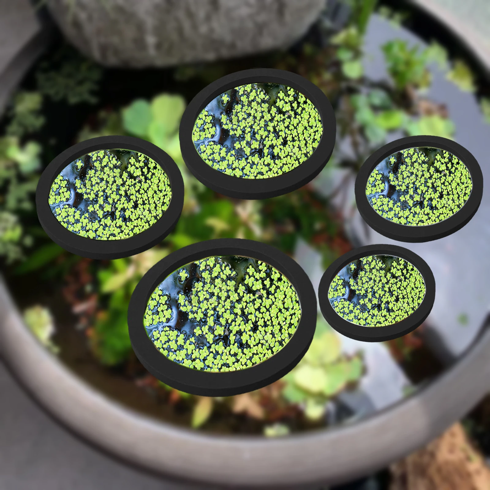 5Pcs EVA Fish Feeding Ring Aqu - Aquarium Planting ulasan dan harga