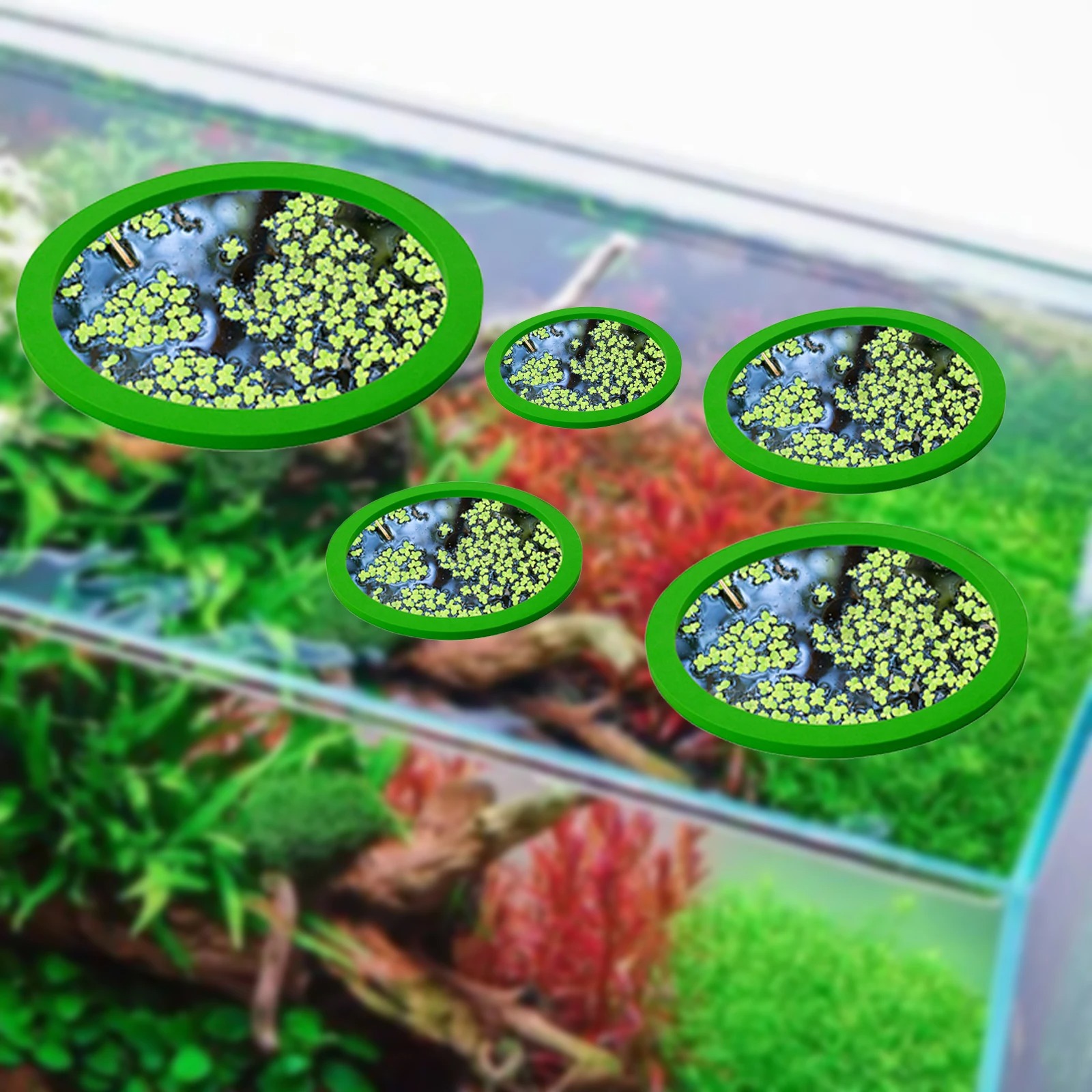 5Pcs EVA Fish Feeding Ring Aqu - Aquarium Planting ulasan dan harga