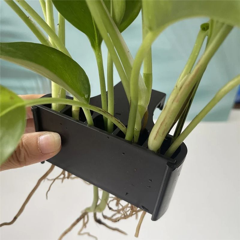 AT05-Aquarium Planter Aquarium - Aquarium Plant Live ulasan dan harga