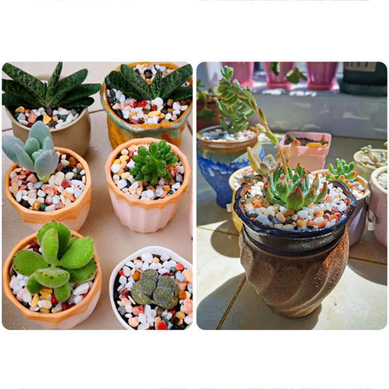 Fish Tank Bottom Sand DIY Acce - Aquarium Planted Soil ulasan dan harga