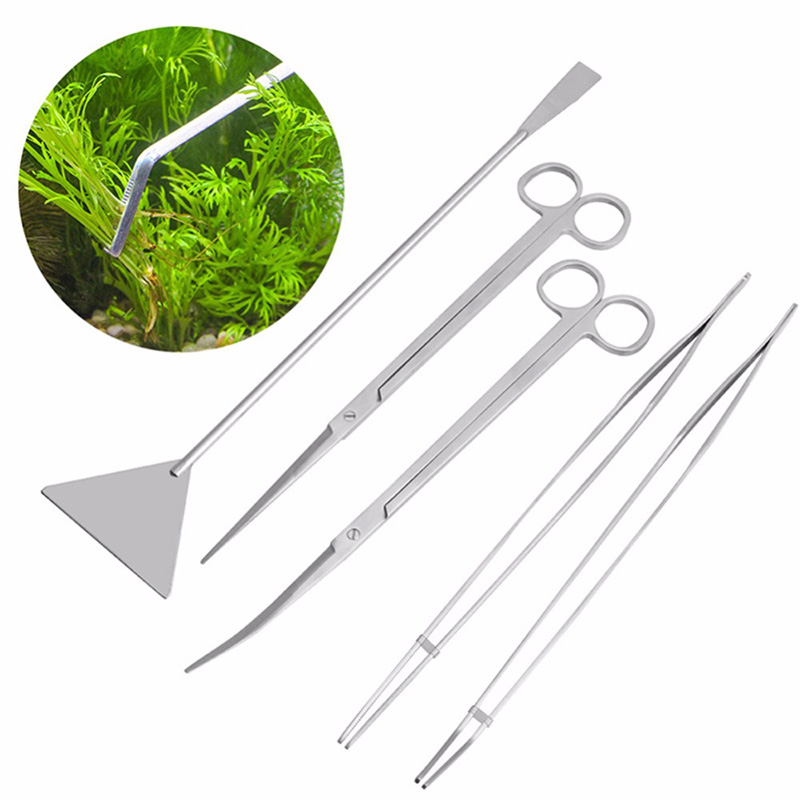 Professional Aquarium Maintena - Aquarium Plant Live ulasan dan harga