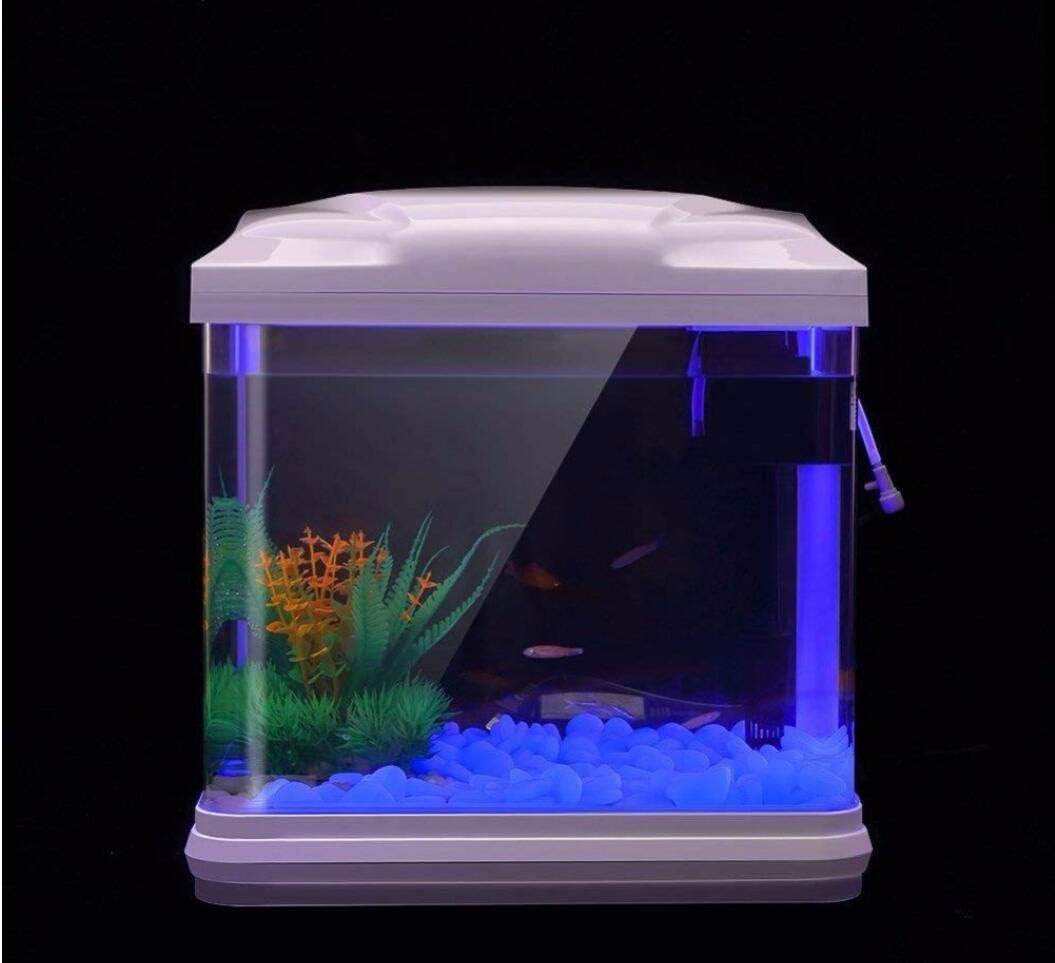 Fish Tank Rocks Glow Blue Pebb - Aquarium Planting ulasan dan harga