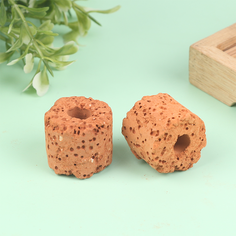 New 10Pcs Plant Ring Aquarium  - Planted Aquarium Media ulasan dan harga
