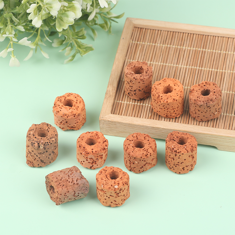 ^10Pcs Plant Ring Aquarium Fix - Planted Aquarium Media ulasan dan harga