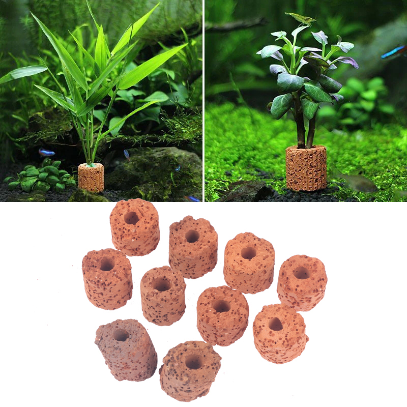 ^10Pcs Plant Ring Aquarium Fix - Planted Aquarium Media ulasan dan harga