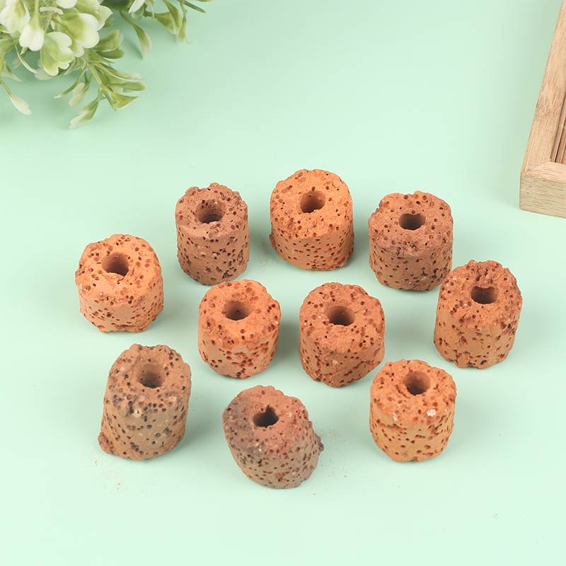 ^10Pcs Plant Ring Aquarium Fix - Planted Aquarium Media ulasan dan harga