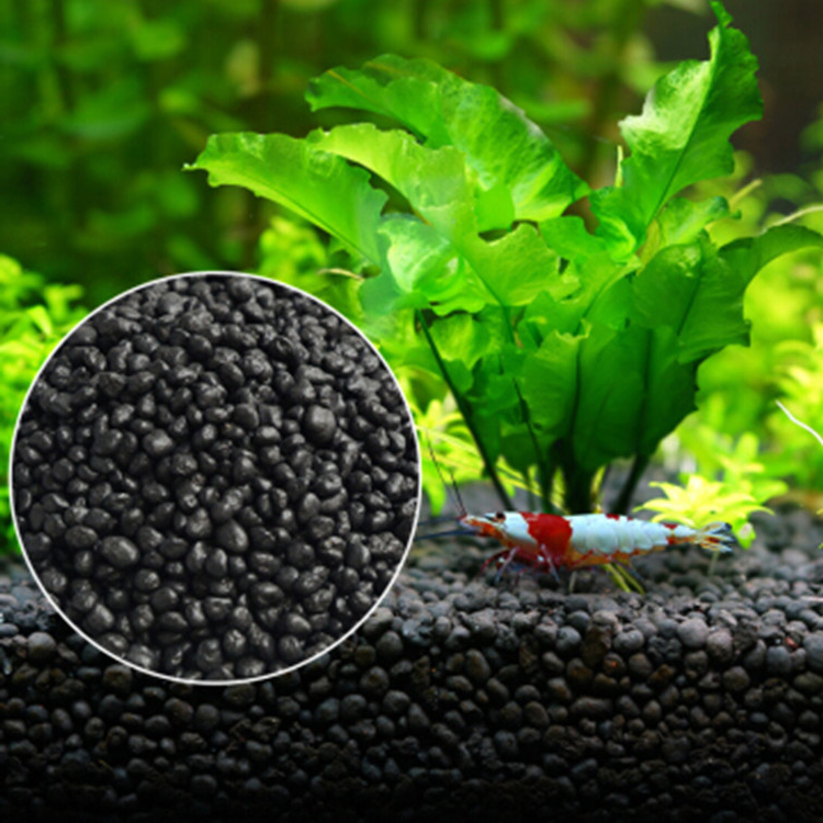 Aquarium Plant Seeds Soil Fish - Aquarium Planted Soil ulasan dan harga