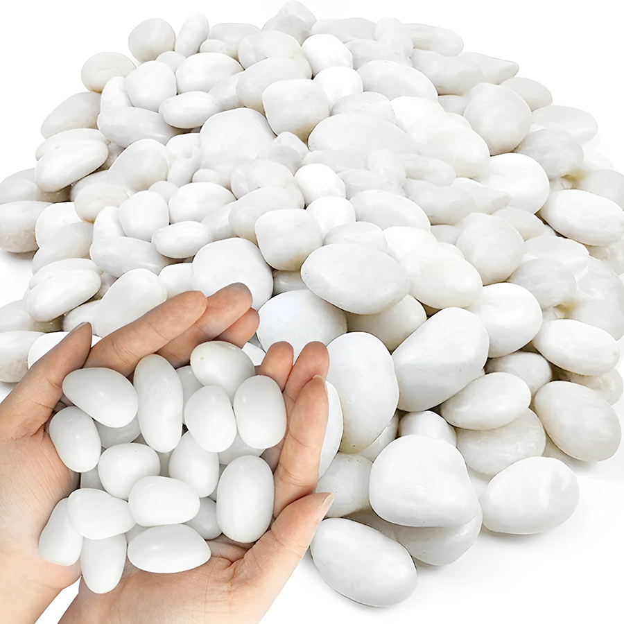 1/2Lb White Polished Aquarium  - Aquarium Planted Soil ulasan dan harga