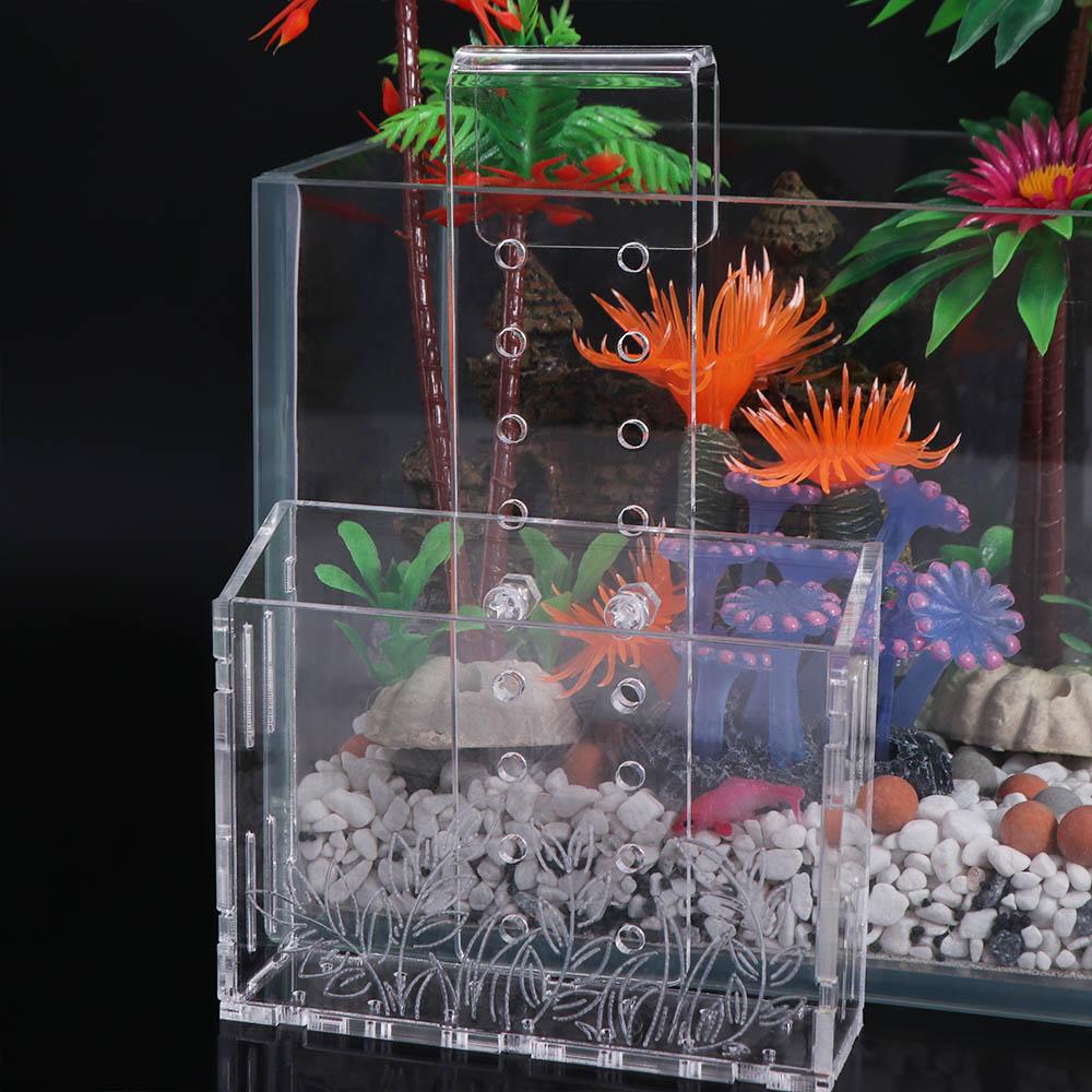 Wall Hanging Aquarium Plants C - Aquarium Planted Wall ulasan dan harga