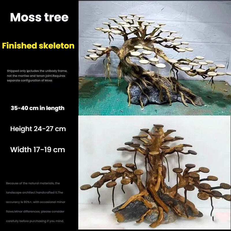 Aquarium Landscaping Moss Tree - Aquarium Plant Growing ulasan dan harga
