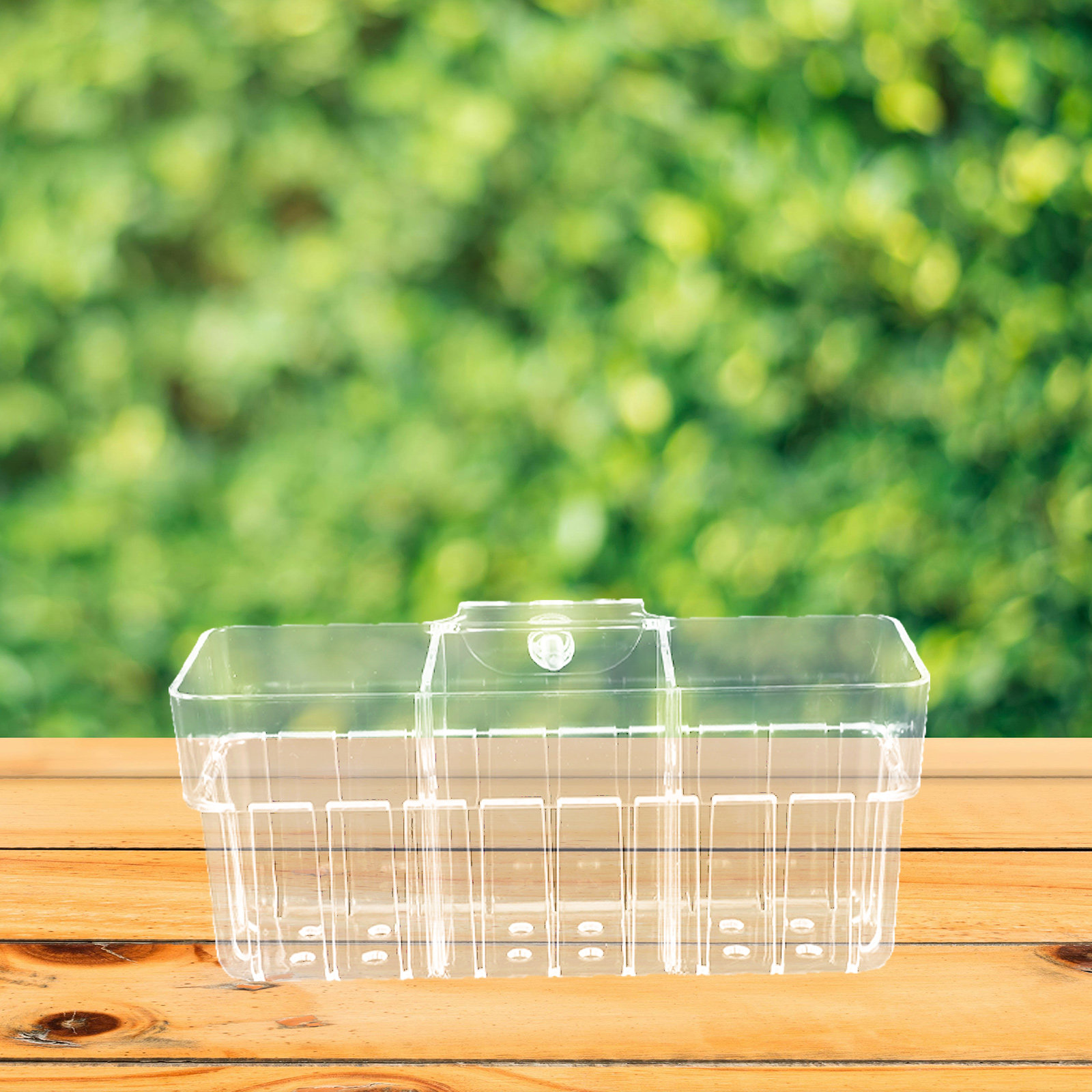 Three Compartment Clear Hydrop - Aquarium Planted Wall ulasan dan harga