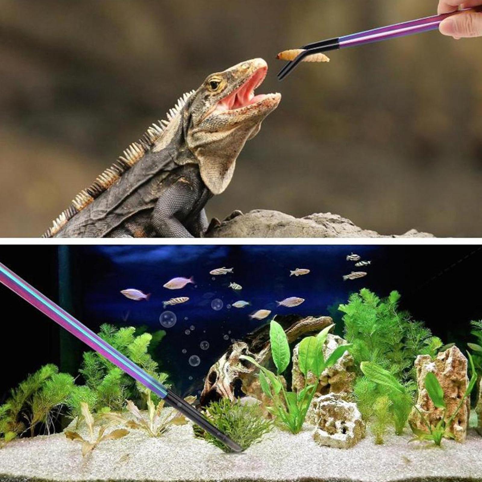 Reptile Feeder Tongs with Sili - Planted Aquarium Tips ulasan dan harga
