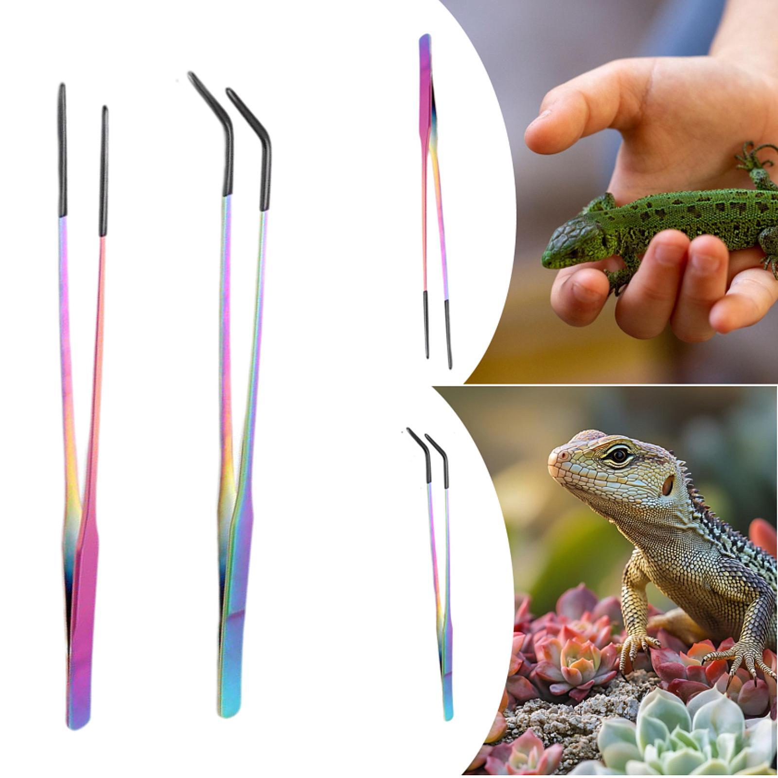 Reptile Feeder Tongs with Sili - Planted Aquarium Tips ulasan dan harga